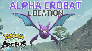 Where to Find Alpha Crobat in Pokémon Legends Arceus  Crobat Location in Pokemon Legends Arceus [upl. by Sitsuj]