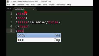 How to create basic webpage with Sublime Text3 [upl. by Nairbal]