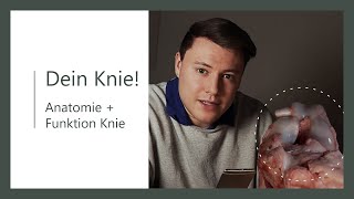 Kniegelenk  Anatomie Komplettkurs  am echten Knie [upl. by Annehcu307]