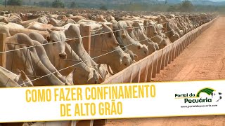 Como fazer confinamento de alto grão [upl. by Hannavahs851]