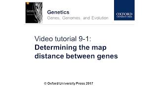 Determining the Map Distance Between Genes [upl. by Trillbee]