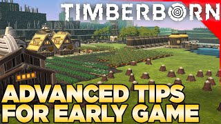 Timberborn  Advanced Tips for Early Game [upl. by Phi]