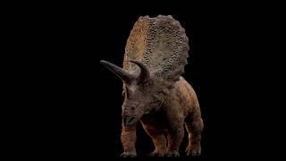 Torosaurus Reveal  INSTINCTION [upl. by Hulbig]