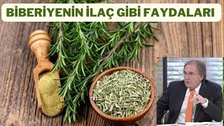 TAZE BİBERİYENİN FAYDALARI NELERDİRBİBERİYE TÜKETİMİ VE KULLANIMIBİBERİYENİN ZARARLARI NELERDİR [upl. by Aihsei]