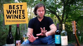 The Best White Wines For Beginners Series 2 Pinot Grigio [upl. by Nelac]