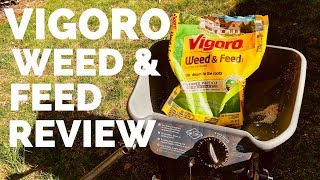 Vigoro Weed And Feed Review  Lawn Before and After [upl. by Enomys]