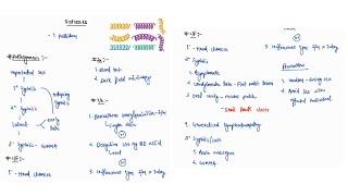 SYPHILIS NOTES  INFECTIOUS DISEASE  MEDICINE  ONE PAGE NOTES  4TH PROFF  MBBS [upl. by Aras248]