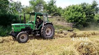 Deutz D7006 amp ACMA 330 Grass picker [upl. by Enomor]