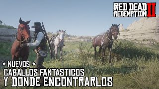 Nueva colección de caballos  Red Dead Redemption 2  Jeshua Games [upl. by Eltotsira696]