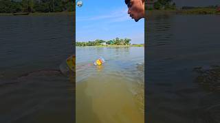 🐠Plastic bottles Fish Trap Part06 channa fishing peste ikan shorts shortsfeed catfish [upl. by Teria]