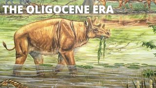 The Oligocene Era [upl. by Olyhs]