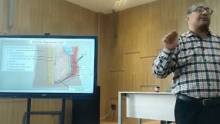 Anatomy of anterior abdominal wall muscles and rectus sheath [upl. by Alletneuq]