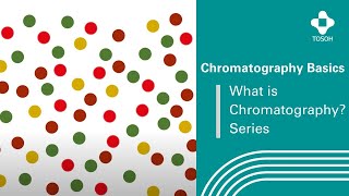 Tosoh Basics  What is chromatography [upl. by Stochmal]