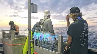 Offshore Fishing  Episode 12  Heading back to Ulladulla with some big Swordfish [upl. by Nathalie]