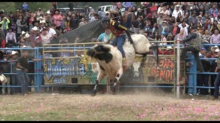 ¡¡LLEGO LA 1 LOS DESTRUCTORES DE MEMO OCAMPO JARIPEO EN NOCUTZEPO MICHOACAN 2023 [upl. by Mit]