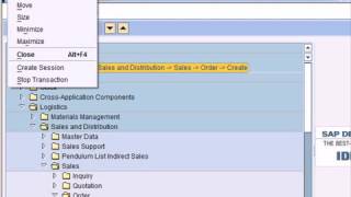 SAP Tutorial Part 1 SAP ERP [upl. by Cailly]