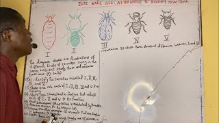 WAEC GCE 2022  ALTERNATIVE TO BIOLOGY PRACTICAL [upl. by Arenahs]