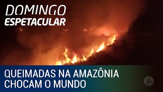 Queimadas na Amazônia chocam o mundo [upl. by Michell292]