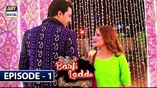 Barfi Laddu Episode 1  6th June 2019  ARY Digital Drama [upl. by Suhsoj]