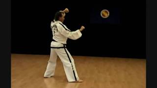 Dan  Gun Tul Taekwondo Estilo ITF [upl. by Olimpia986]