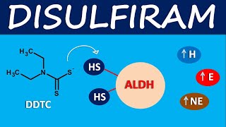 Disulfiram  Mechanism side effects and uses [upl. by Enirok]