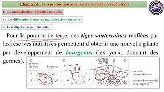 Chapitre4Partie1  Reproduction Asexuée  Multiplication Végétative Tronc Commun Sciences BIOF [upl. by Garibold]