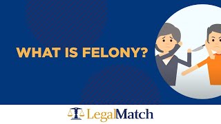 What is a Felony [upl. by Eelrihs729]