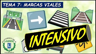 INTENSIVO PERMISO B  TEMA 7 MARCAS VIALES [upl. by Meirrak]