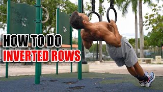 How to do Inverted Rows Underrated [upl. by Ashby436]