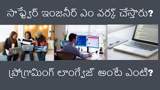 Software Engineers Em Work ChesthaaruProgramming Language Aante Enti  Knowledge In Telugu [upl. by Brianne]