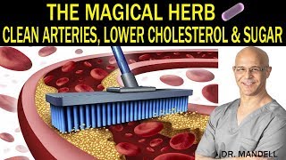 THE MAGICAL HERB THAT CLEANS ARTERIES LOWERS CHOLESTEROL amp SUGAR  Dr Alan Mandell DC [upl. by Hazmah264]