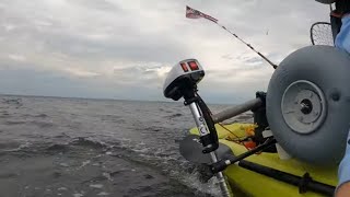 Trolling motor on compass kayak Watersnake T24 side mount on the water reviewtests  SEA BASS [upl. by Notnerb170]