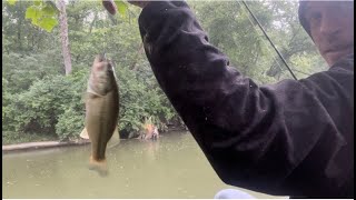 18 Minutes of Fishing In The Rain Caught Two Bass and 1 Bluegill [upl. by Matias599]