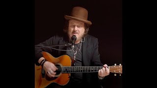 Zucchero  Come Il Sole AllImprovviso Live Acoustic [upl. by Biagi901]