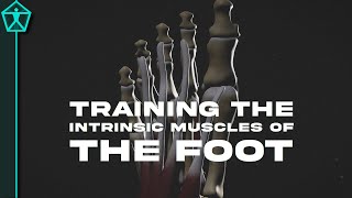 How to Train Your FOOT MUSCLES  For Speed Agility and Injury Prevention [upl. by Monson]