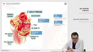 VILLAMEDIC  Fisiología gastrointestinal Secreción gastrointestinal [upl. by Bohman]