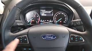 Como fazer reset Revisão da nova Ford ECOSPORT [upl. by Ddat]