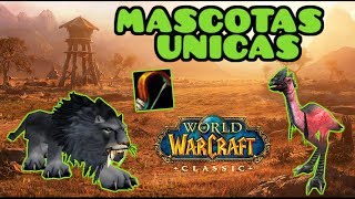 10 Mascotas UNICAS de Cazador ● WoW Classic [upl. by Enyalb]