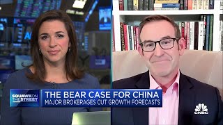 Chinas not on the verge of collapse and people are too panicked China Beige Book CEO [upl. by Ainek]