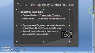 Parasitology 138 b Taenia Taeniasis cysticercosis NeuroCysticercosis ICSOL ocular [upl. by Adley]