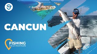 Fishing in Cancun All You Need to Know  FishingBooker [upl. by Salta]