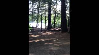 Wells state park campground MA [upl. by Jarus]