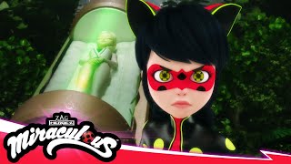 MIRACULOUS  🐞 RECREATION  Akumatized 🐾  SEASON 5  Tales of Ladybug amp Cat Noir [upl. by Scoville]