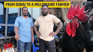 From Dubai To Making Millions Every Month Through Local Chicken Farming In Uganda [upl. by Kelsey123]