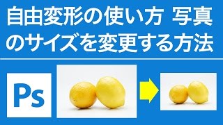 Photoshop 無料講座 自由変形の使い方 写真のサイズを変更する方法 [upl. by Atiuqal]