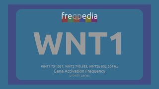 WNT1 tissue formation Gene Activation Frequency [upl. by Vey40]