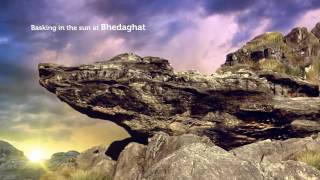 Nonattacking crocodile in Bhedaghat [upl. by Spevek543]