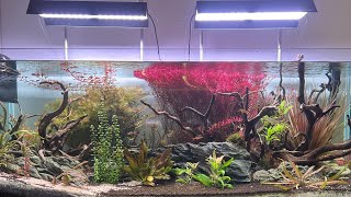 New 130 Gallon Tank [upl. by Mitzi]