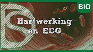 Examens Biologie  Hartwerking en ECG Bloedsomloop [upl. by Vish]