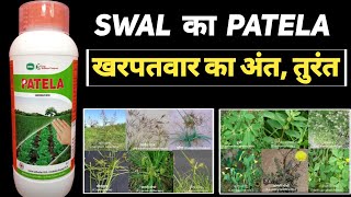 swal patela herbicide Patela uses in Hindi [upl. by Dranik379]